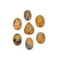 195cts Bumble Bee Jasper Smooth Mix Shape Approx 21x16 to 31x21mm