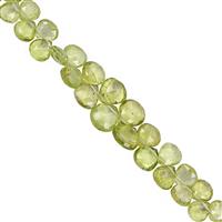 30cts Peridot Top Side Drill Graduated Faceted Heart Approx 4.5 to 7mm, 17cm Strand with Spacer 