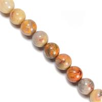 280cts Crazy Lace Agate Plain Rounds Approx 10mm, 38cm Strand