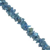 370cts Neon Apatite Nuggets Smooth Approx 4x2 to 7x3mm, 26Inch Necklace 