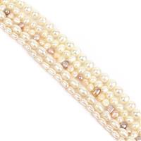 5 x 38cm Strands Freshwater Cultured Pearl Bundle (Shapes: Potato, Rice, Nugget)