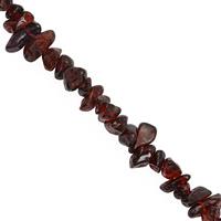 230cts Red Garnet Nuggets Approx 3x1 to 9x4mm, 80cm Strand