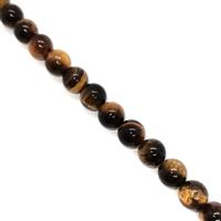 175 Cts Yellow Tiger Eye Plain Rounds, Approx. 8mm 38cm strand