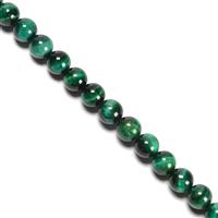 175 cts Green Tigers Eye Plain Rounds Approx 8mm, 38cm Strand