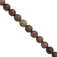 210cts Arctic Jasper Smooth Round Approx 10mm, 30cm Strand
