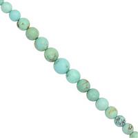 35cts Sleeping Beauty Turquoise Graduated Smooth Round Approx 2 to 6mm, 24cm Strand 