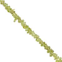 300cts Red Dragon Peridot Nugget Approx 2x1 to 7x3mm, 100 inch Strand