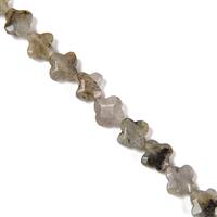 80cts Labradorite Faceted 4 Leaf Clovers Approx 10mm, 38cm Strand