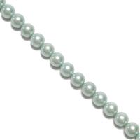 Turquoise Shell Pearl Plain Rounds Approx 8mm, 38cm Strand