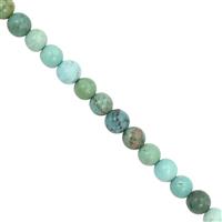 20cts Turquoise Smooth Round Approx 4mm, 20cm Strand