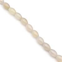 155cts White Onyx Plain Drums Approx 12x8mm, 35cm Strand