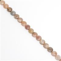 100cts Multicolour Sunstone Faceted Coins Approx 8mm, 38cm Strand