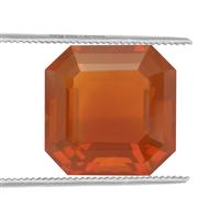 8.03cts American Fire Opal 14mm Octagon (N)