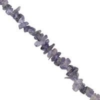 100cts Iolite Small Chips Approx 2x4 to 4x7mm, 32-34" Strand