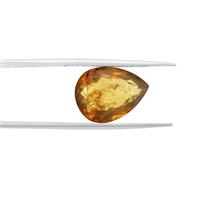 2.8cts Caribbean Amber 16x12mm Pear (N)