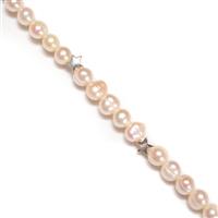 White Freshwater Cultured Potato Pearls Approx 5-6mm With 925 Sterling Silver Star Spacer Beads (5pcs), 38cm Strand 