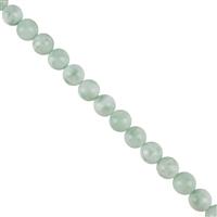 380cts Green Angelite Plain Rounds Approx 12mm, 38cm Strand