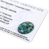 8.9cts Egyptian Turquoise 20x16mm Oval  (CP)