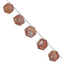 65cts Noreena Jasper Graduated Plain Hexagon Approx 10 to 16mm, 16cm Strand with Spacer 
