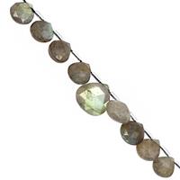 76cts Labradorite Top Side Drill Faceted Heart Approx 7.50 to 13.50mm, 27cm Strand with Spacers