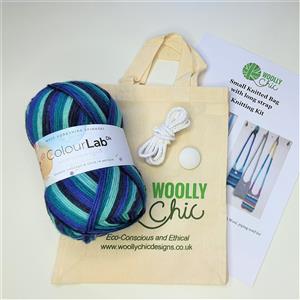 Woolly Chic Frosty Blues Small Cross-Body Handbag Knitting Kit 