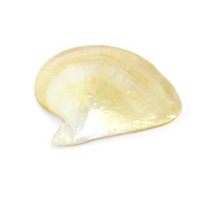 Golden Polished South Sea Pearl Oyster Shell Approx 13x10mm (1pc)