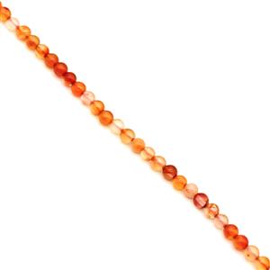 115cts Carnelian Plain Round Approx 4mm, 1 Meter Strand
