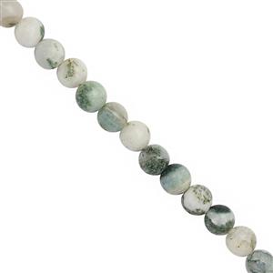 100cts Tree Wave Jasper Smooth Round Approx 6mm, 38cm Strand