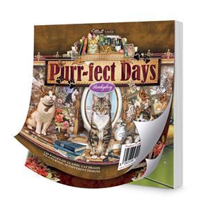 The Square Little Book of Purr-fect Days