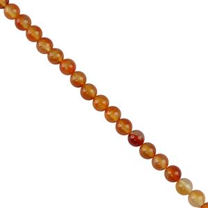 165cts Carnelian Plain Rounds Approx 8mm, 38cm Strand