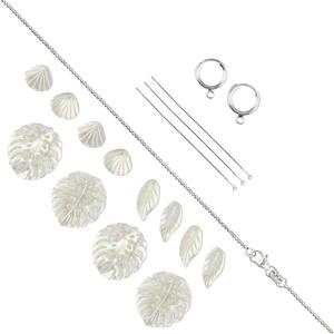 Mother Of Pearl, Shell, Leaf & Cheese Plant Leaf Project With Downloadable Instructions By
