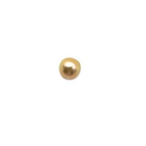Golden South Sea Baroque Pearl Half Drilled Approx 10-11mm (1pc)    