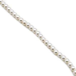 White Shine Shell Pearl Plain Rounds Approx 4mm, 38cm strand