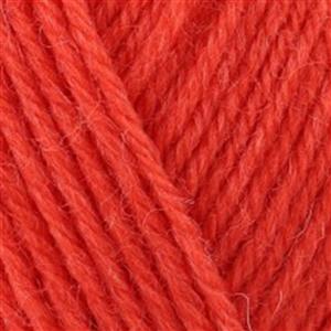 WYS Coral Crush Colour Lab DK Yarn 100g