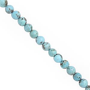 48cts Turquoise Smooth Round Approx 6mm, 22cm Strand