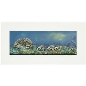 Hedgehog Limited Edition, Signed & Numbered by Pollyanna Pickering