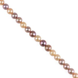 Apricot & Purple Freshwater Cultured Edison Pearls, Approx 10-12mm, 40cm Strand