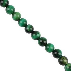 160cts Green Tiger's Eye  Plain Round Approx 8mm, 36cm Strand