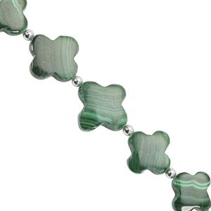 73cts Malachite Smooth Clover Shapes Approx 9 x 9.5 to 18.3 x 19mm, 14cm Strand with Spacers