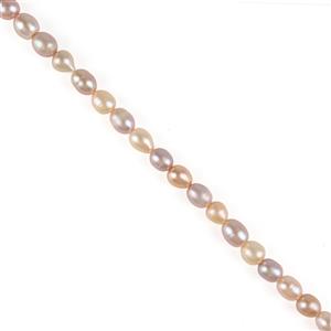 CLOSE OUT DEAL Peach & Purple Natural Colour Cultured Pearls Approx 7x9mm, 38cm Strand