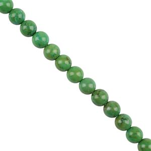 100cts Green Dyed Turquoise Plain Rounds Approx 6mm 38cm
