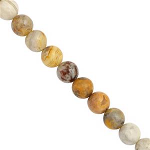 100cts Crazy Lace Agate Smooth Round Approx 8mm, 20cm Strand