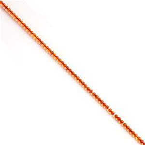 Baltic Cognac Amber Plain Rounds Approx 5mm, 1m Strand