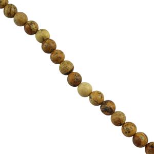 170cts Picture Jasper Plain Rounds Approx 8mm, 38cm Strand