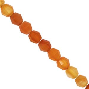 50cts Carnelian Faceted Bicones Approx 6 to 7mm, 14cm Strand
