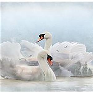 Hoffman Call Of The Wild Swan 0.8m Panel