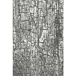 3-D Texture Fades Embossing Folder Cracked by Tim Holtz