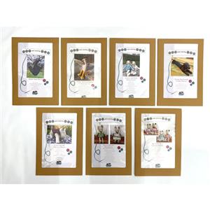 Owl & Sewing Cat Collection 10 - All 7 Printed Patterns