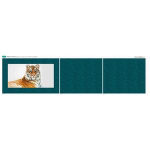 Pollyanna Pickering Tiger Cushion Panel (140 x 37cm)