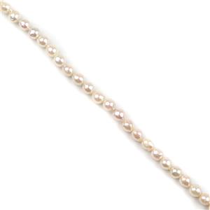 High Lustre Cream Baroque Akoya Pearls Approx 6-7mm, 40cm Strand
